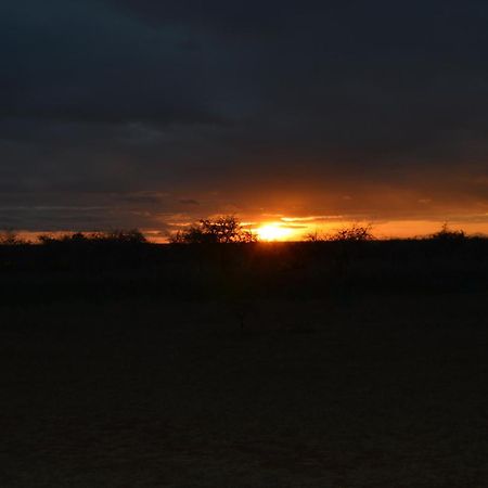 Wild Amboseli Ndovu Cottage. Kültér fotó