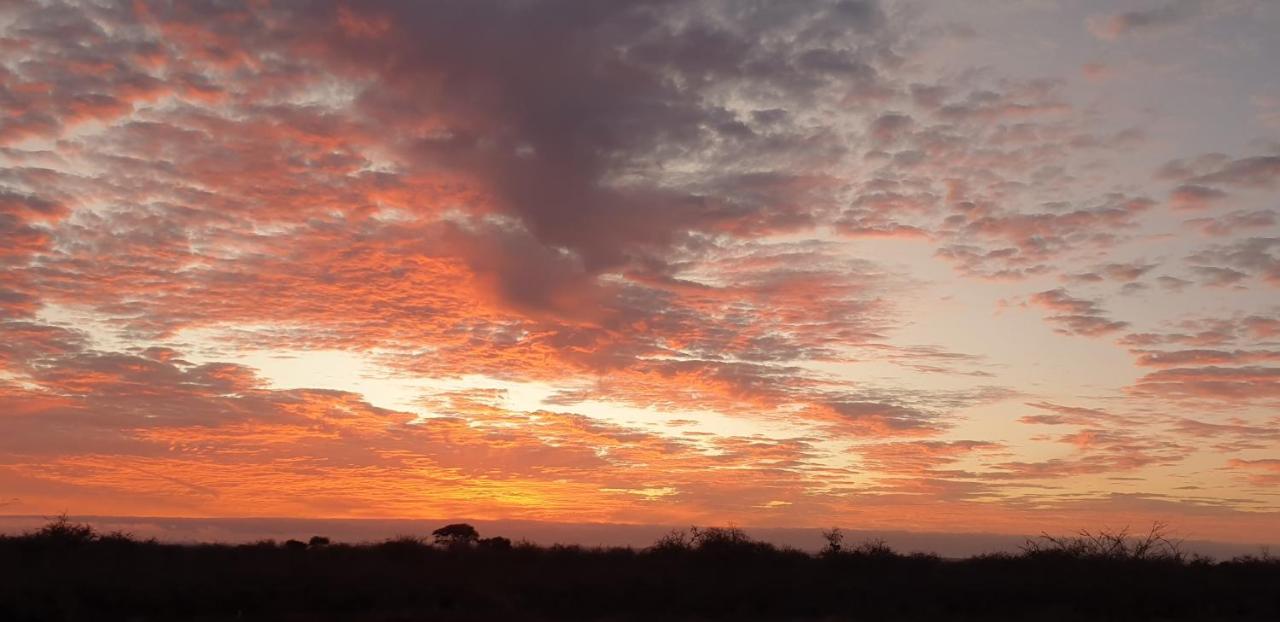 Wild Amboseli Ndovu Cottage. Kültér fotó