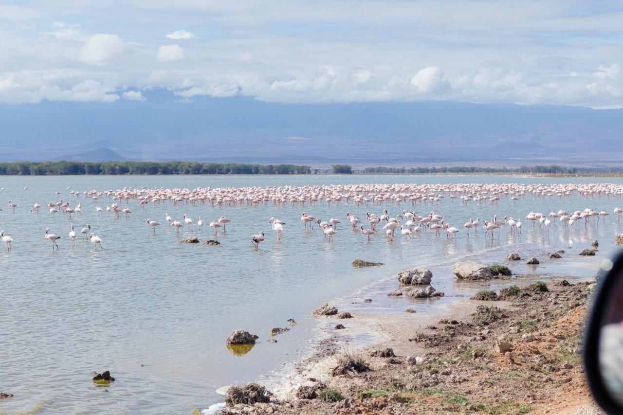Wild Amboseli Ndovu Cottage. Kültér fotó
