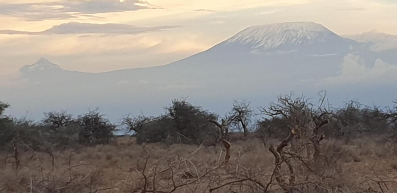 Wild Amboseli Ndovu Cottage. Kültér fotó