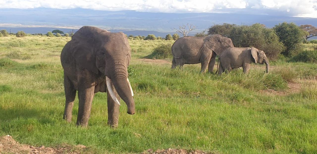 Wild Amboseli Ndovu Cottage. Kültér fotó