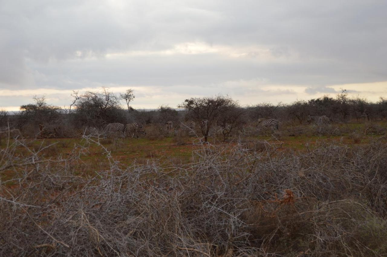 Wild Amboseli Ndovu Cottage. Kültér fotó