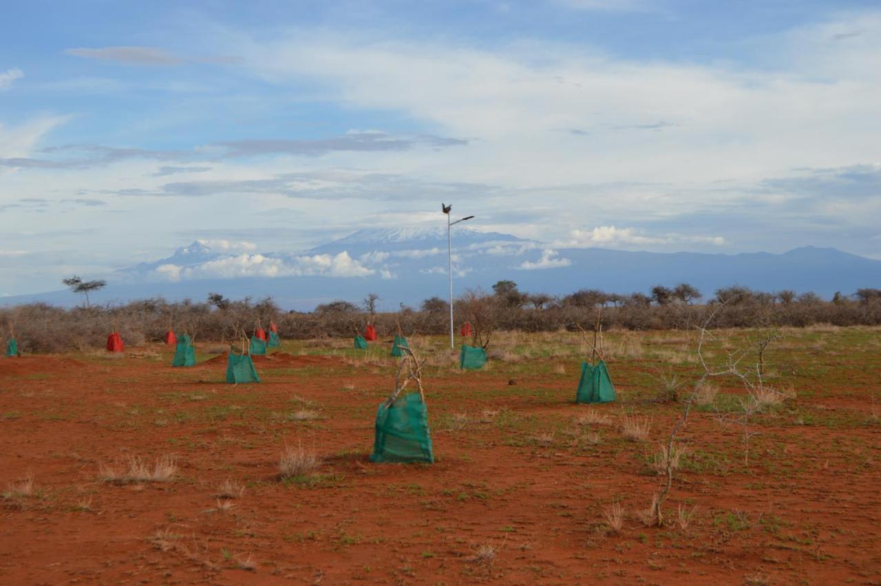 Wild Amboseli Ndovu Cottage. Kültér fotó