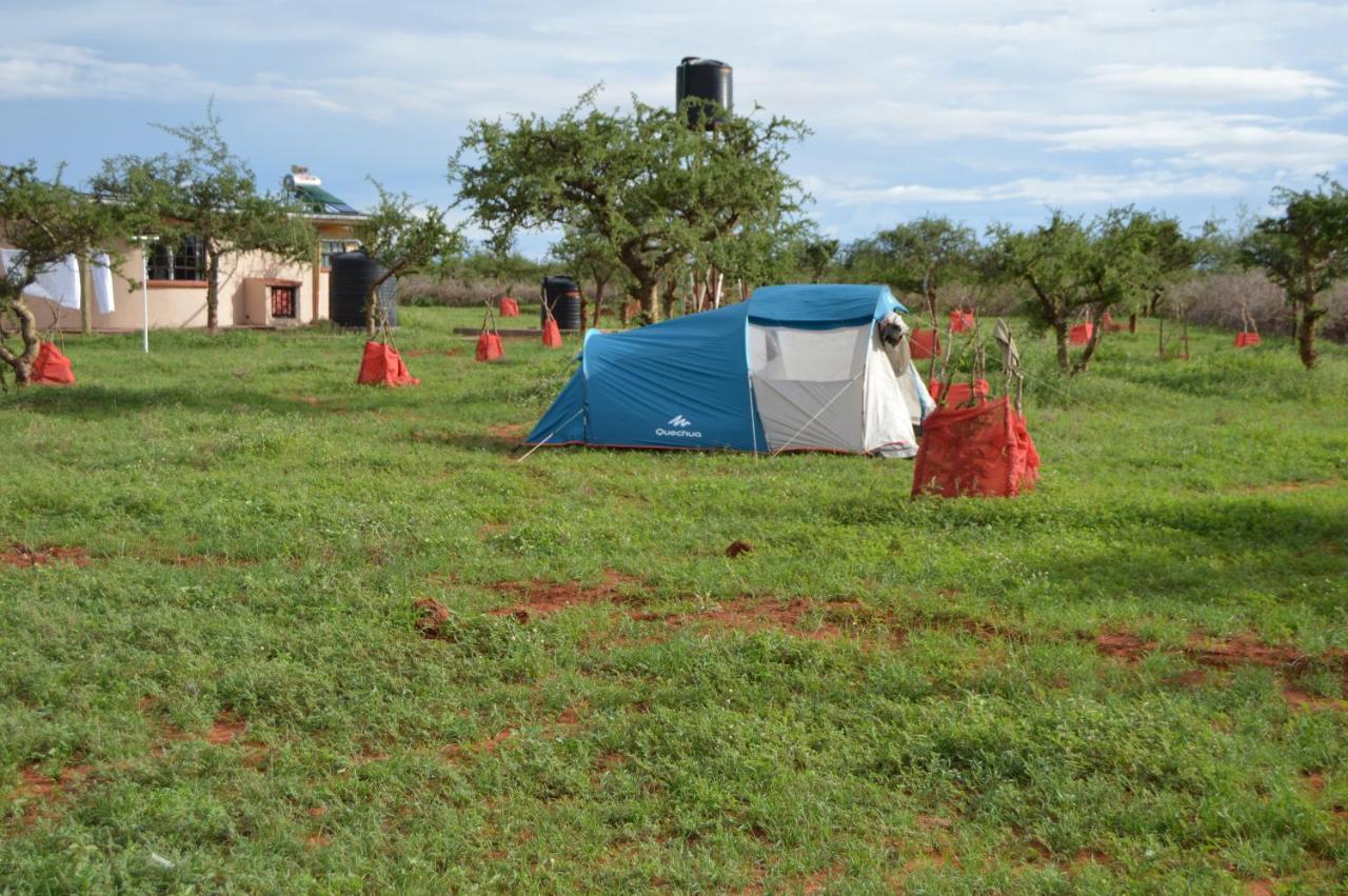 Wild Amboseli Ndovu Cottage. Kültér fotó
