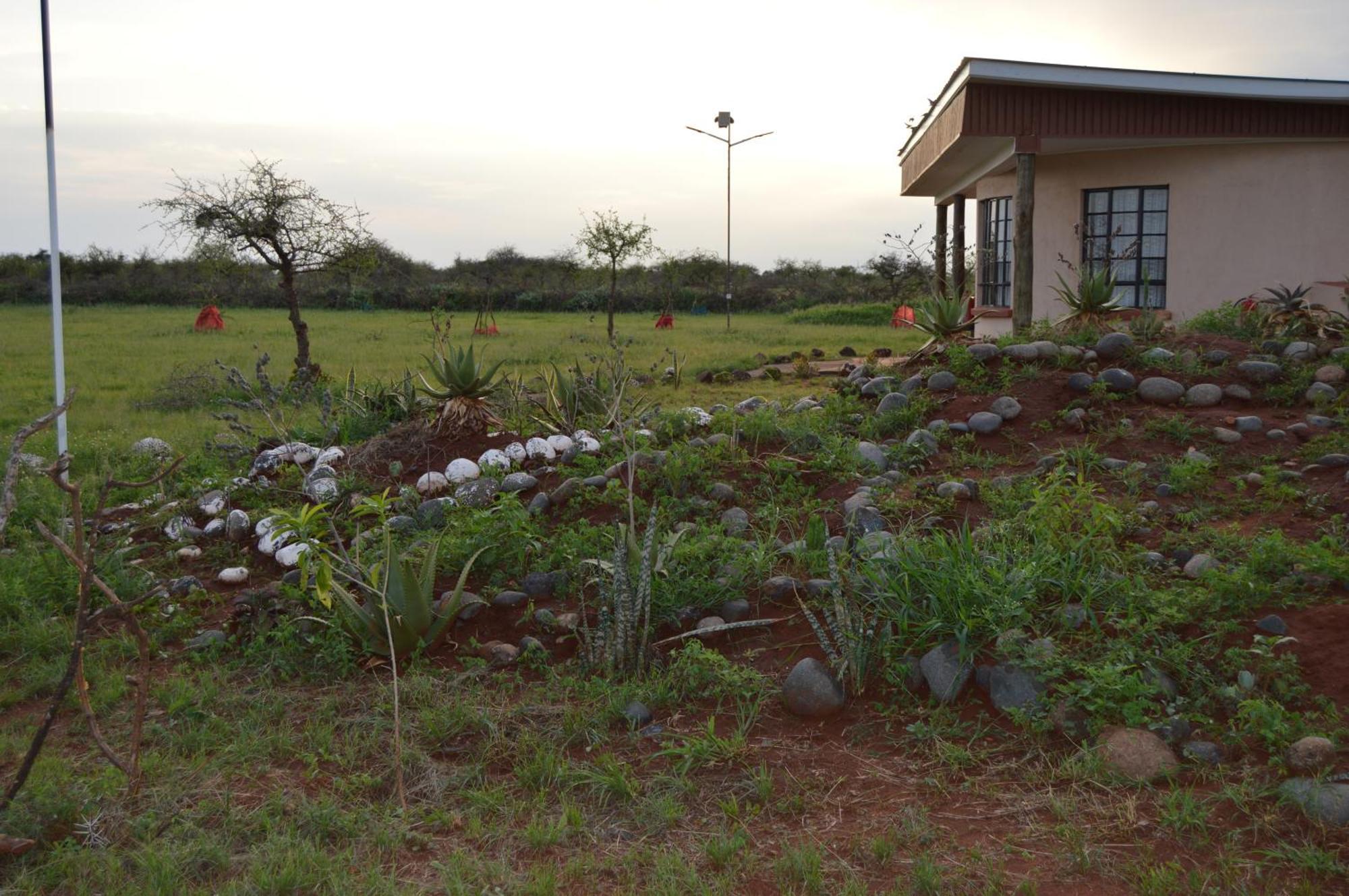 Wild Amboseli Ndovu Cottage. Kültér fotó