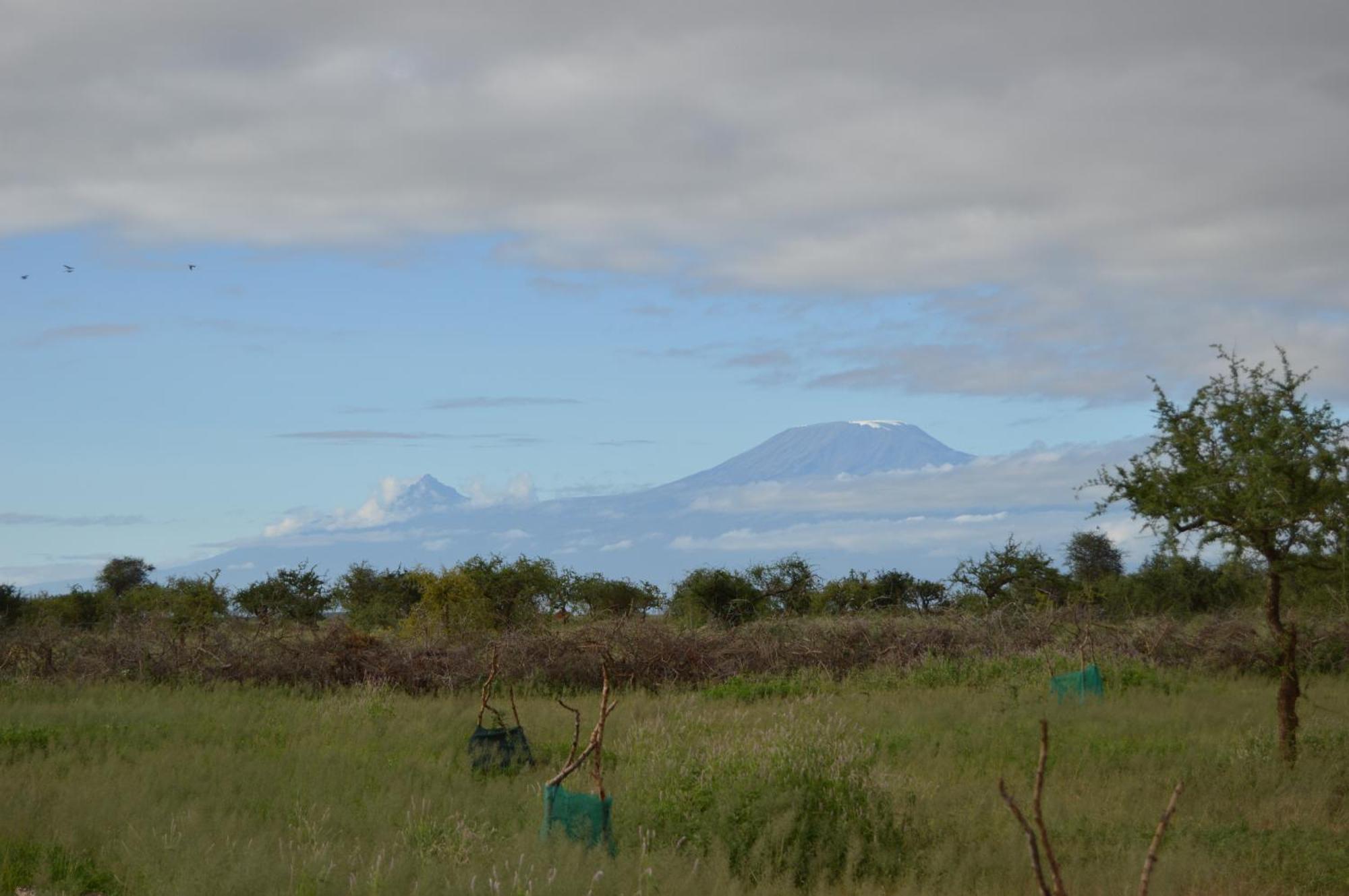 Wild Amboseli Ndovu Cottage. Kültér fotó
